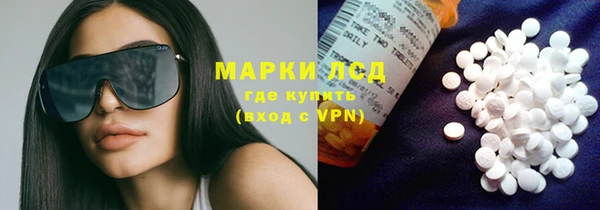 СК Горнозаводск