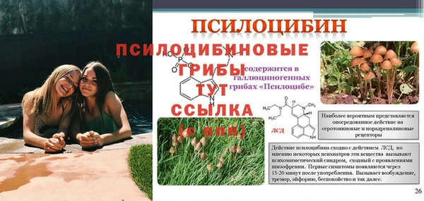 каннабис Горно-Алтайск