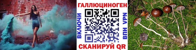 продажа наркотиков Меленки Галлюциногенные грибы ЛСД